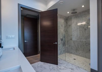 Ballenas, shower and door