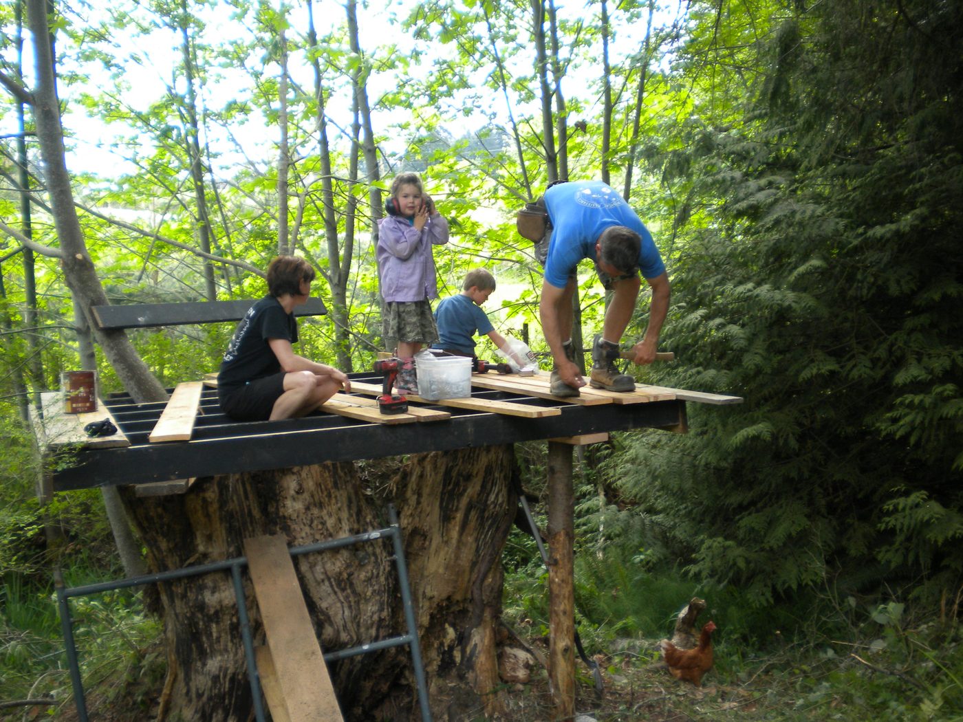 Building a treehouse in the forest